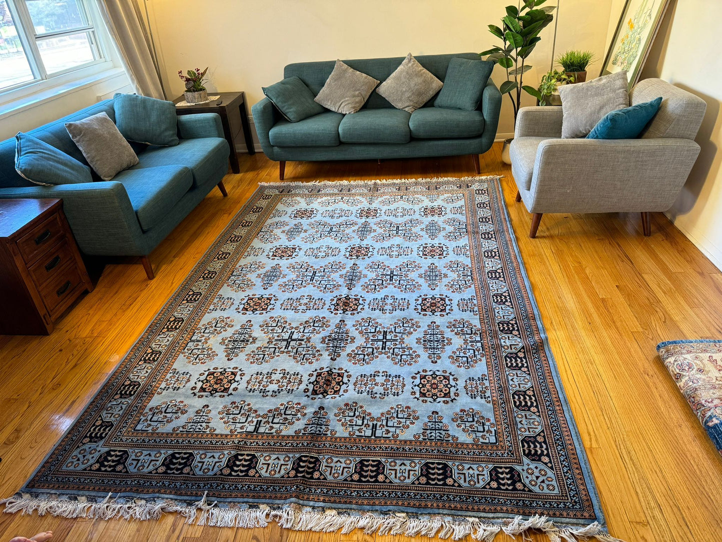 Living Room Rug