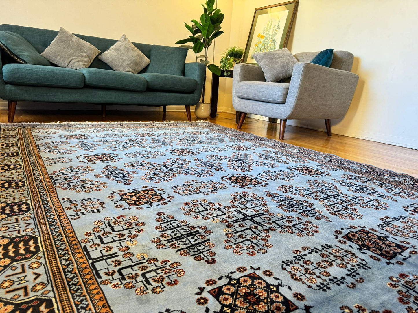 Living Room Rug