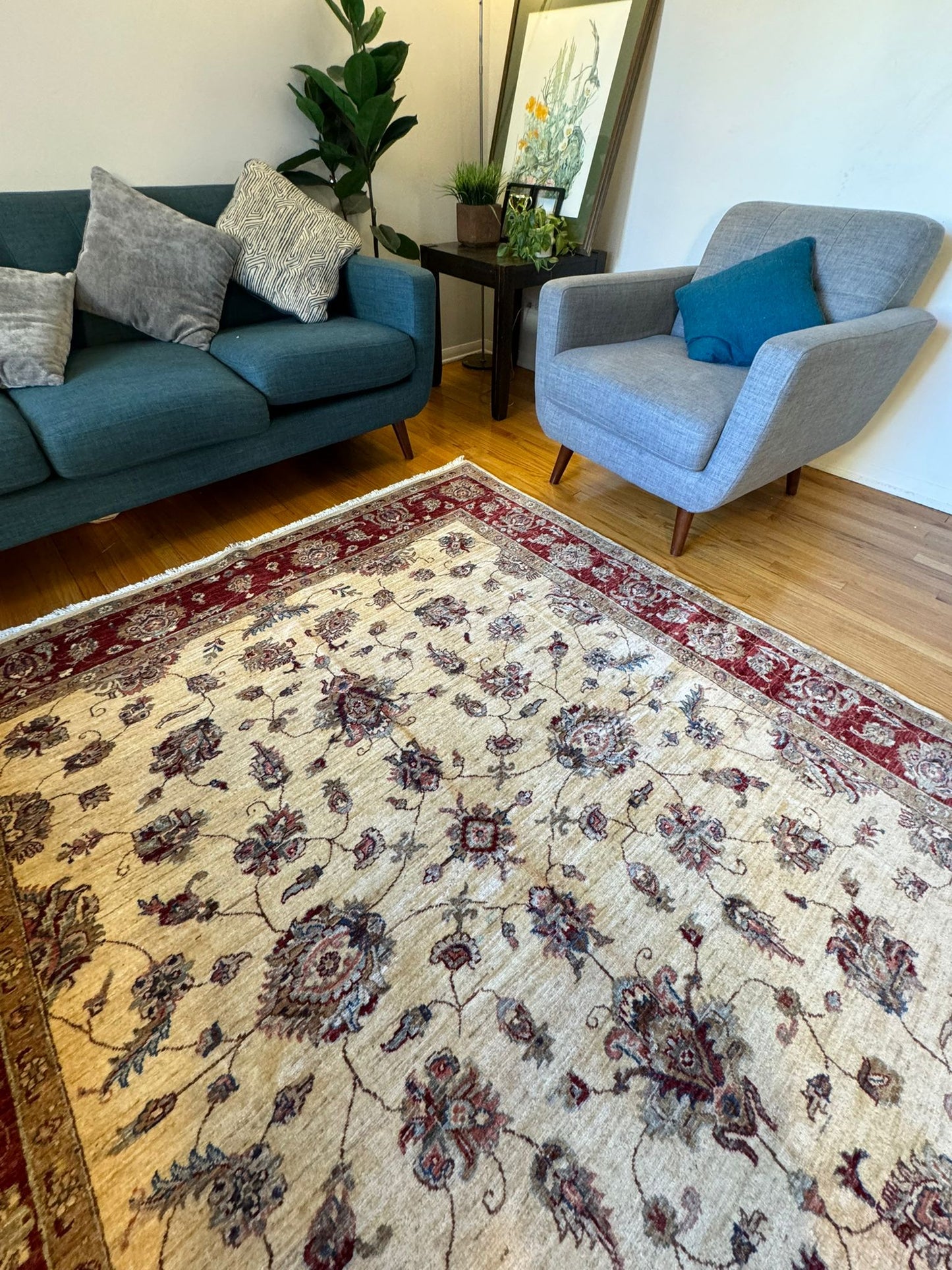 Area Rug