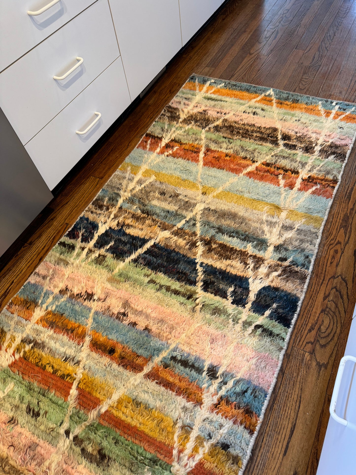 Vibrant Gabbaa Runner Rug (9.7 x 2.8 ft)