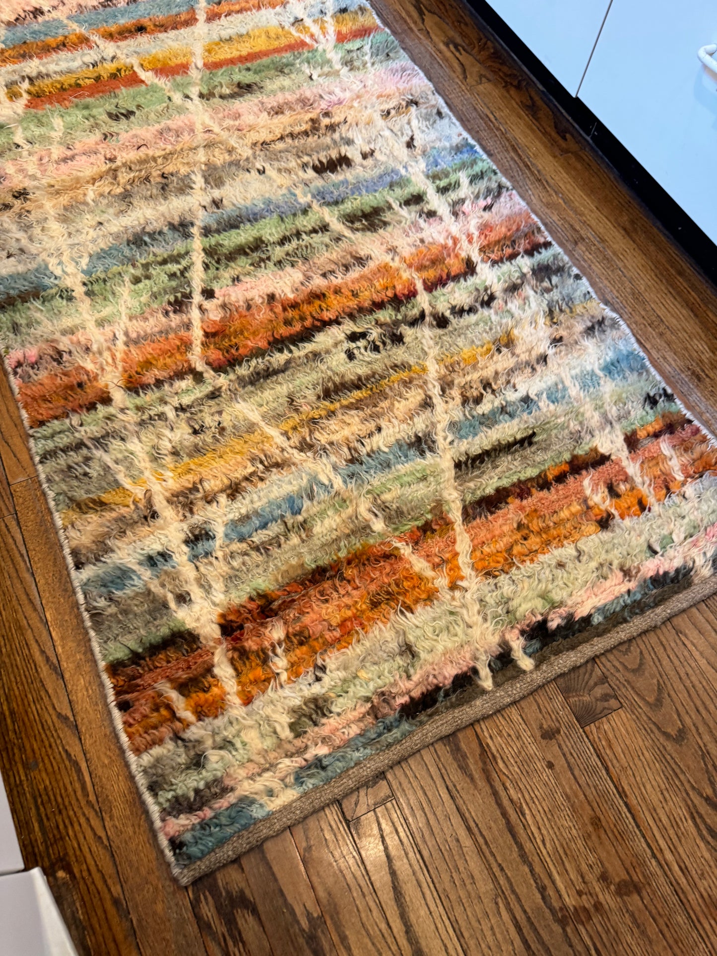 Vibrant Gabbaa Runner Rug (9.7 x 2.8 ft)
