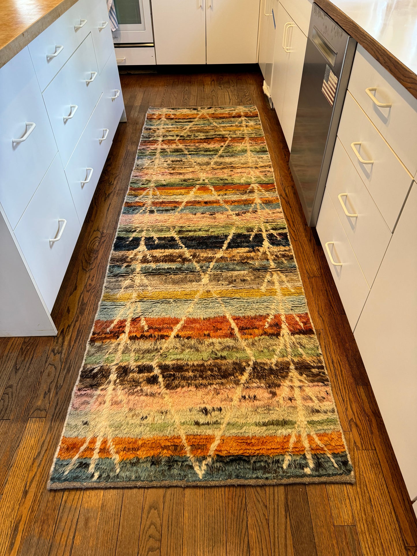 Vibrant Gabbaa Runner Rug (9.7 x 2.8 ft)