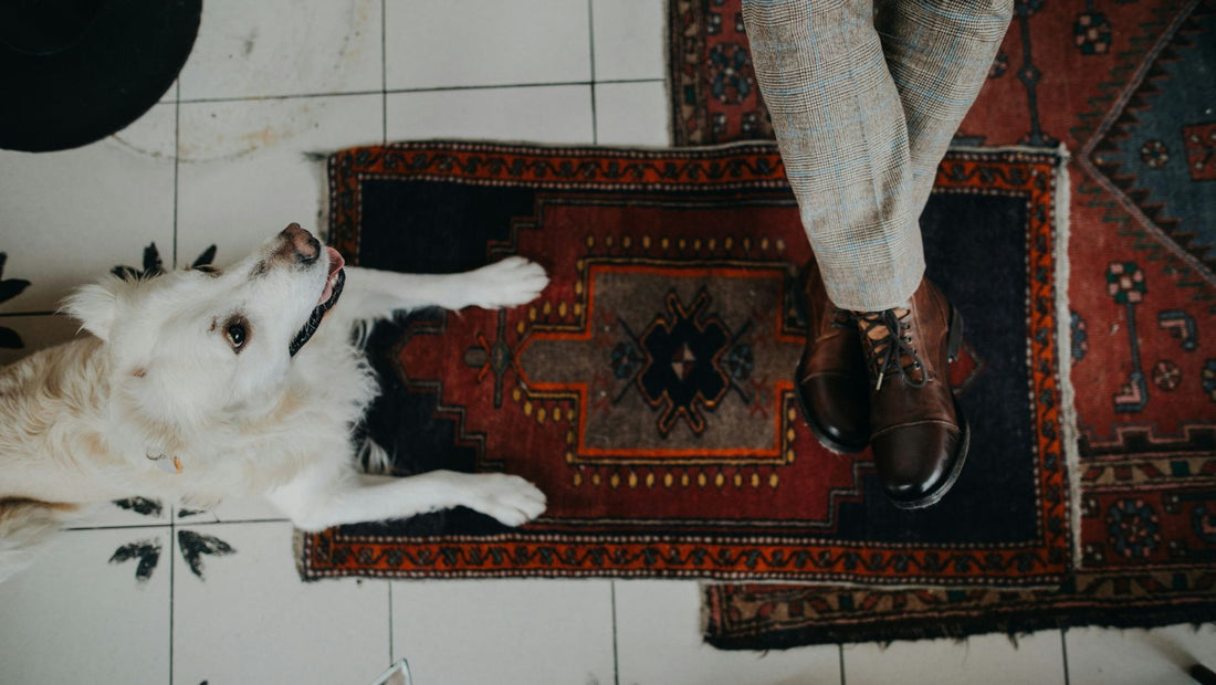 Handmade Rug and Pet