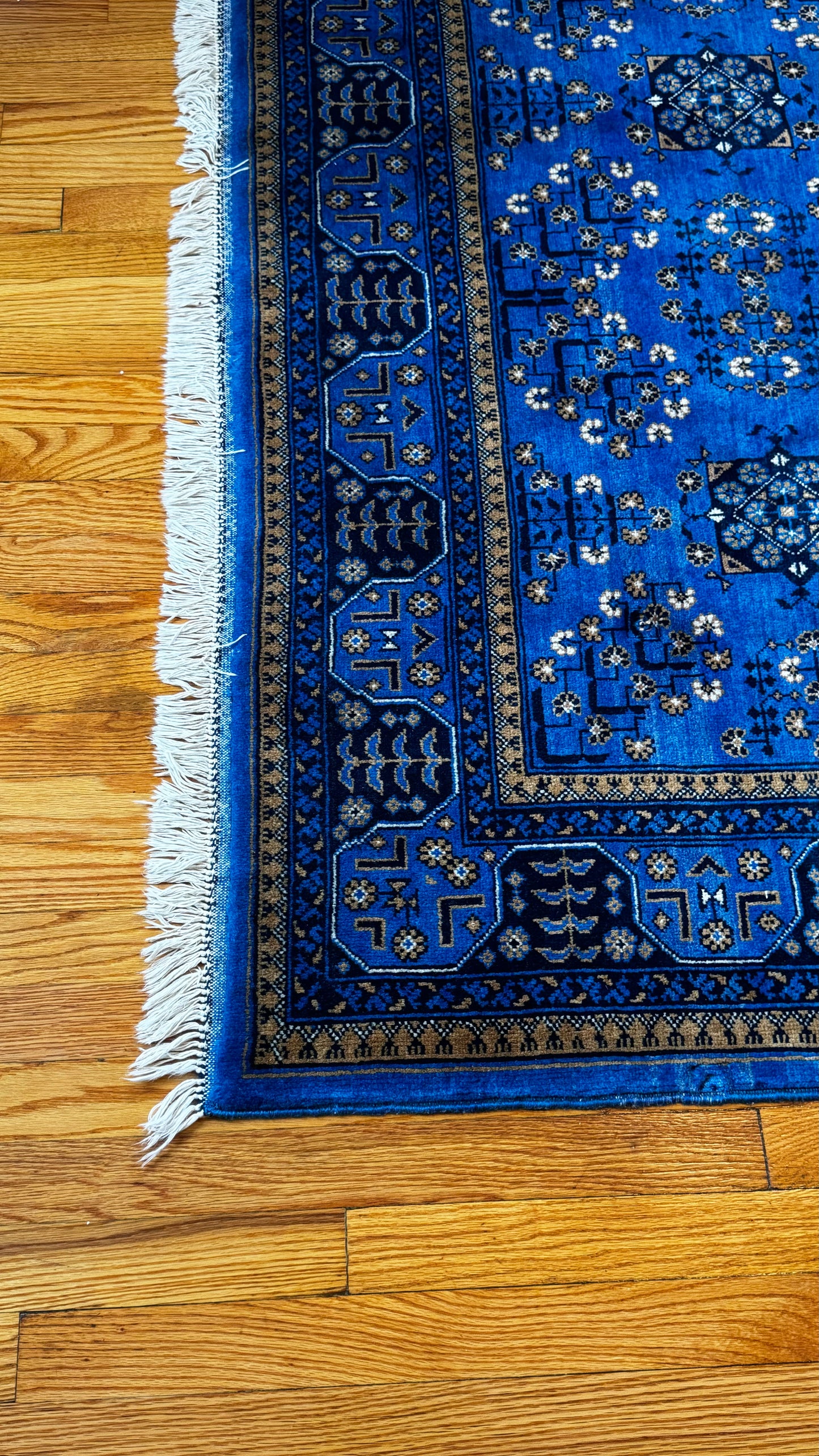 Traditional Bukhara Design- Afghan Hand-Knotted Rug